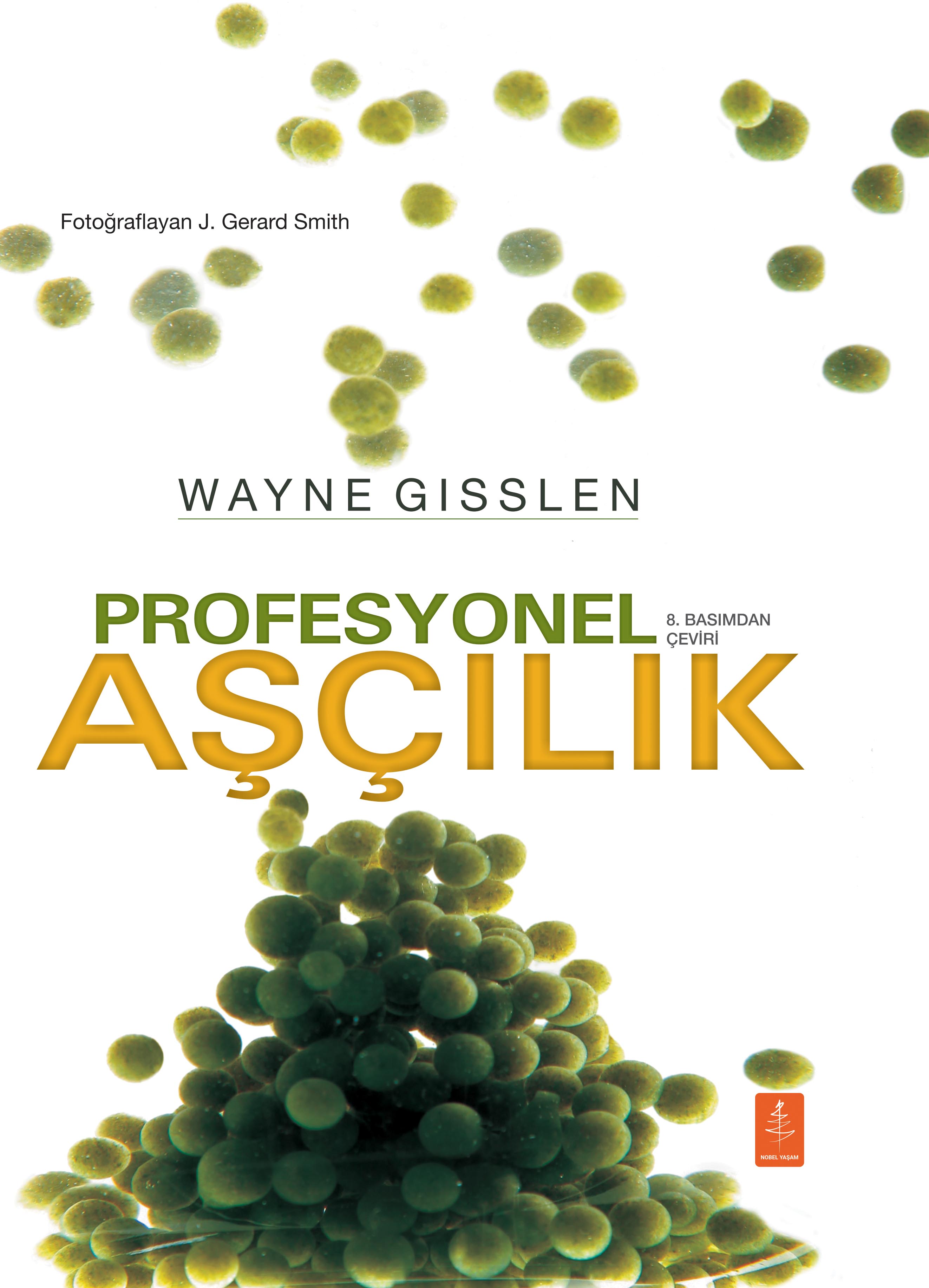 PROFESYONEL AŞÇILIK